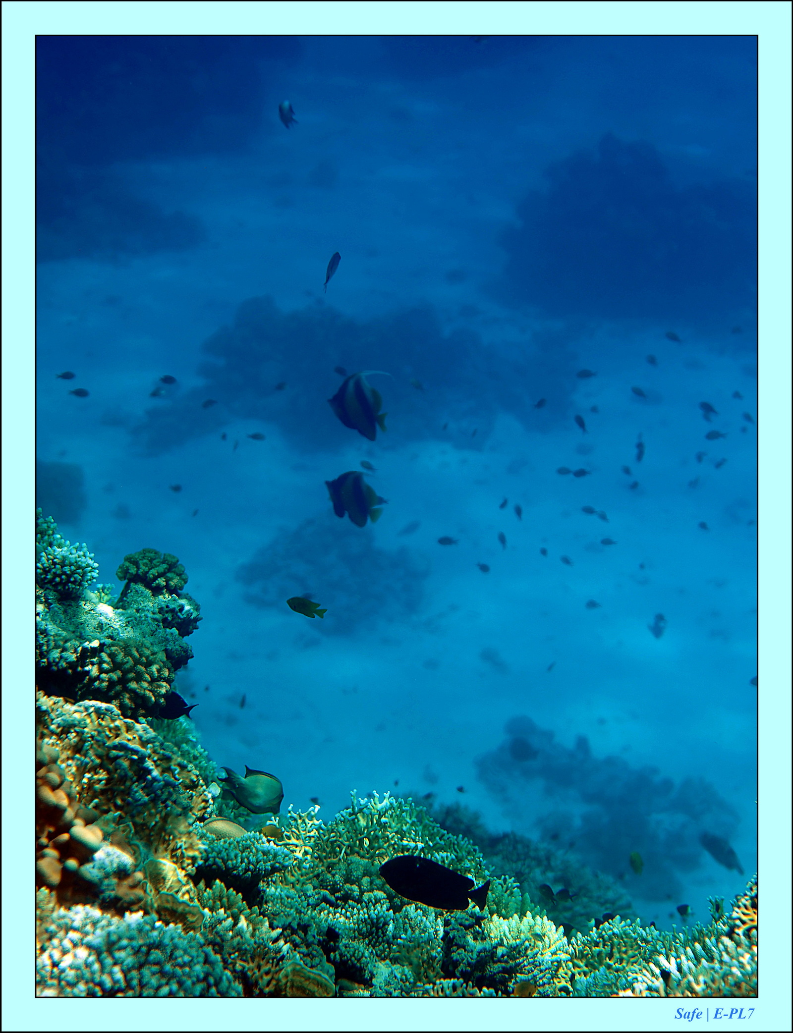 Hurghada - Aout 2021 - 040